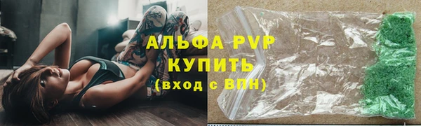 шишки Алзамай