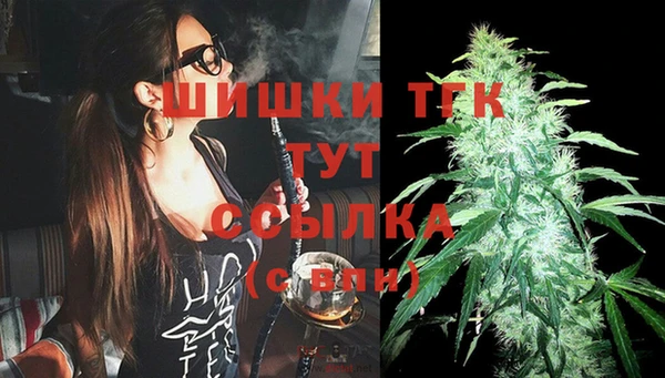шишки Алзамай